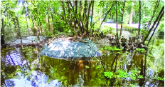 Image of মো: আরাফাত হোসেন আকাশ